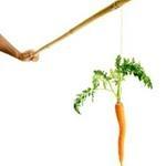 Behavioral Investigation: Engineering the Path to Performance